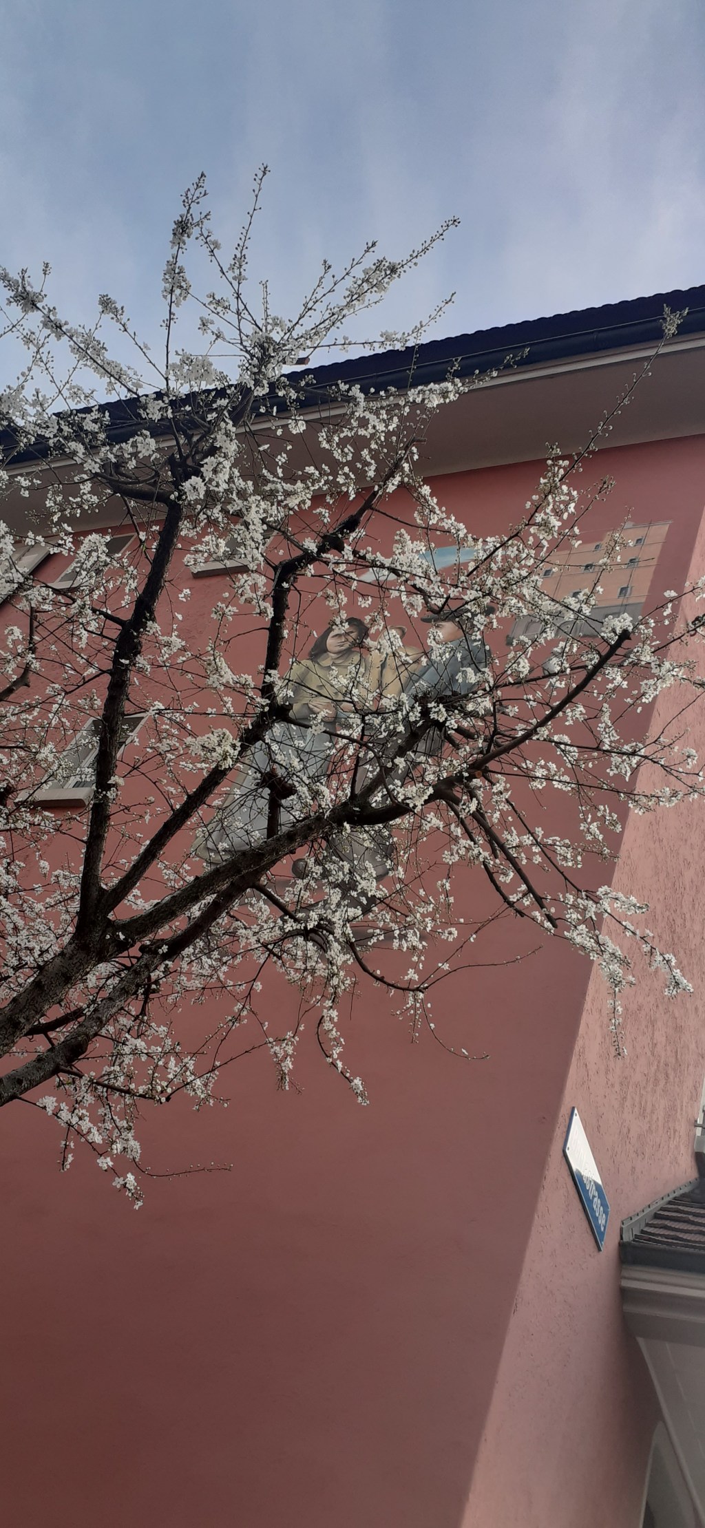 Радость вокруг нас