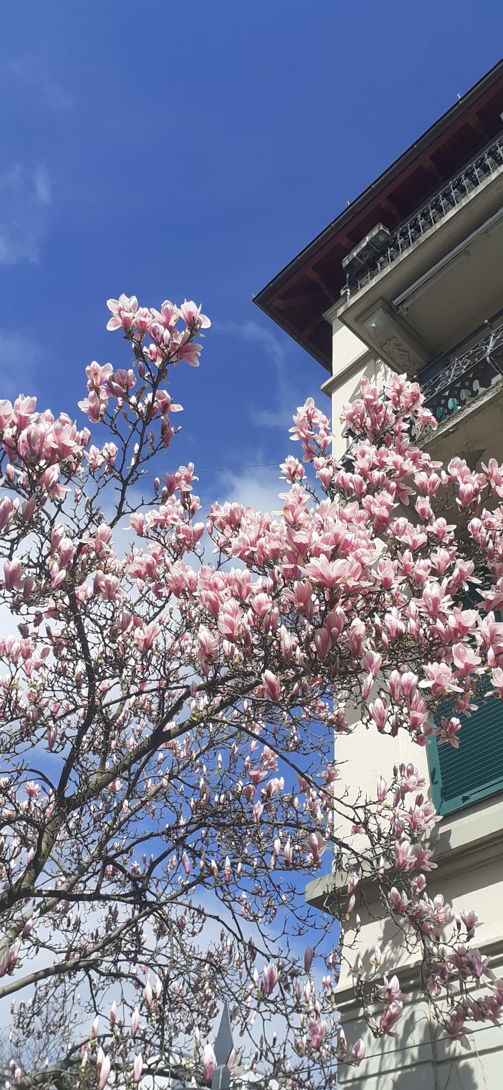 Умножаю радость в&nbsp;Адаре