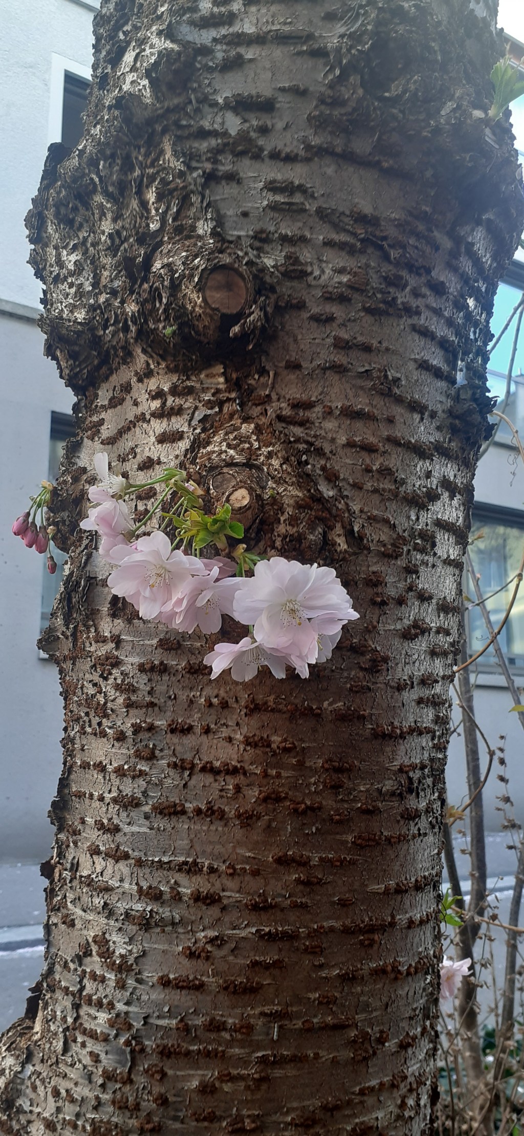 Радоваться во все&nbsp;времена