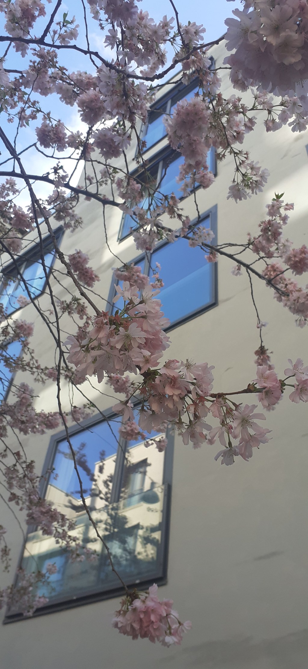 Радость вокруг нас