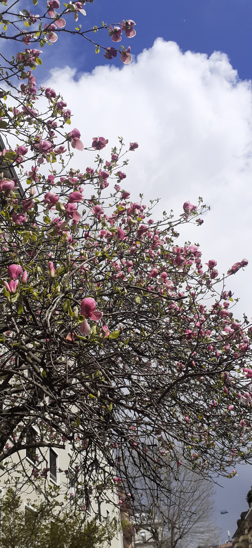 Песах и бесконечные вопросы