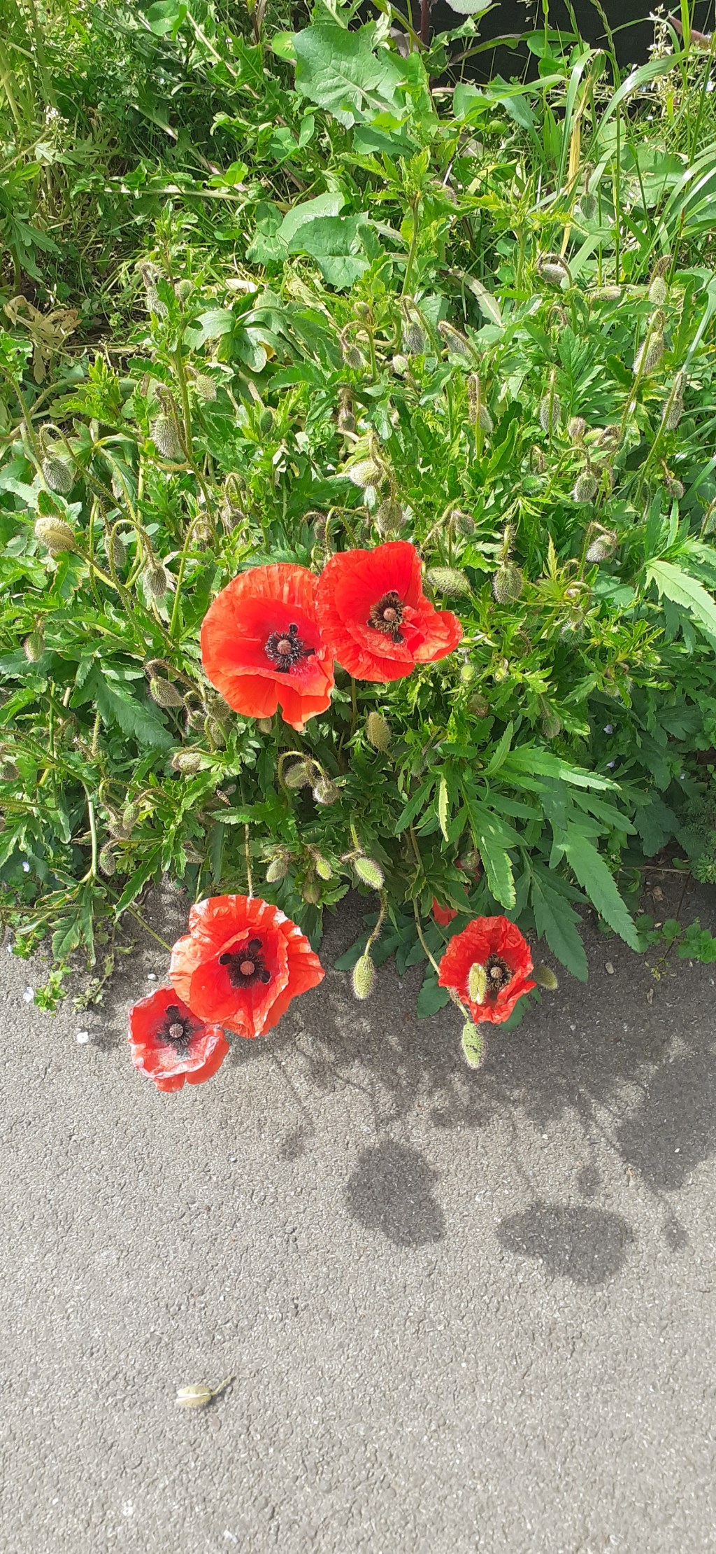 Где многодетная мама черпает силы?