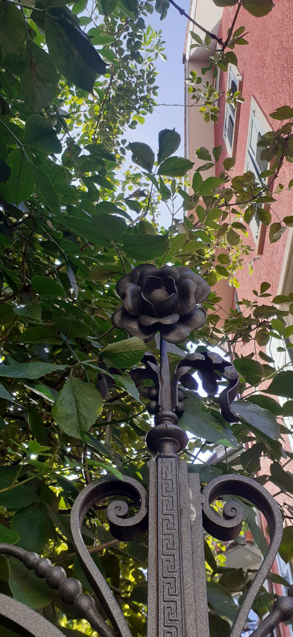 Как один ребе передал своих хасидов другому или 29 Адара