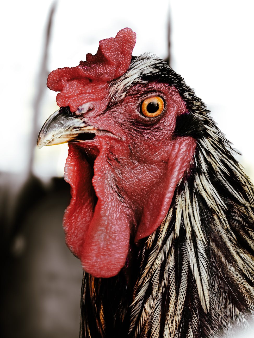 Курица с картофелем и морковью в одной кастрюле.&nbsp;Рецепт