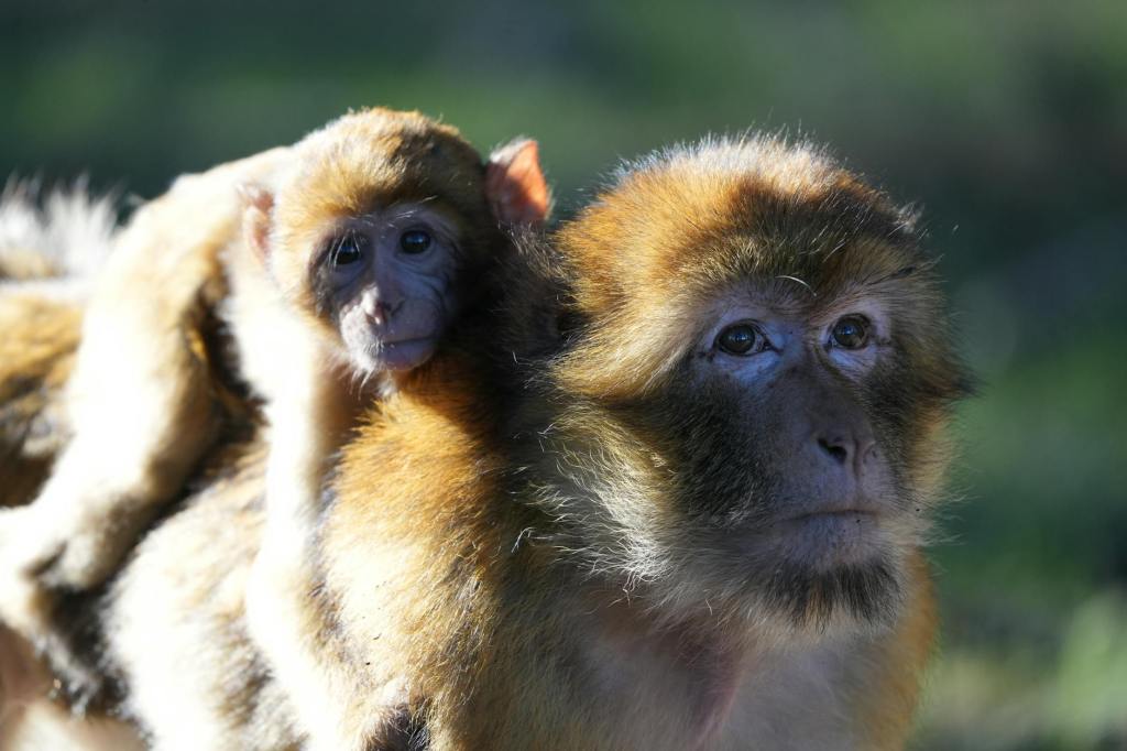 Хороший ли я&nbsp;родитель?