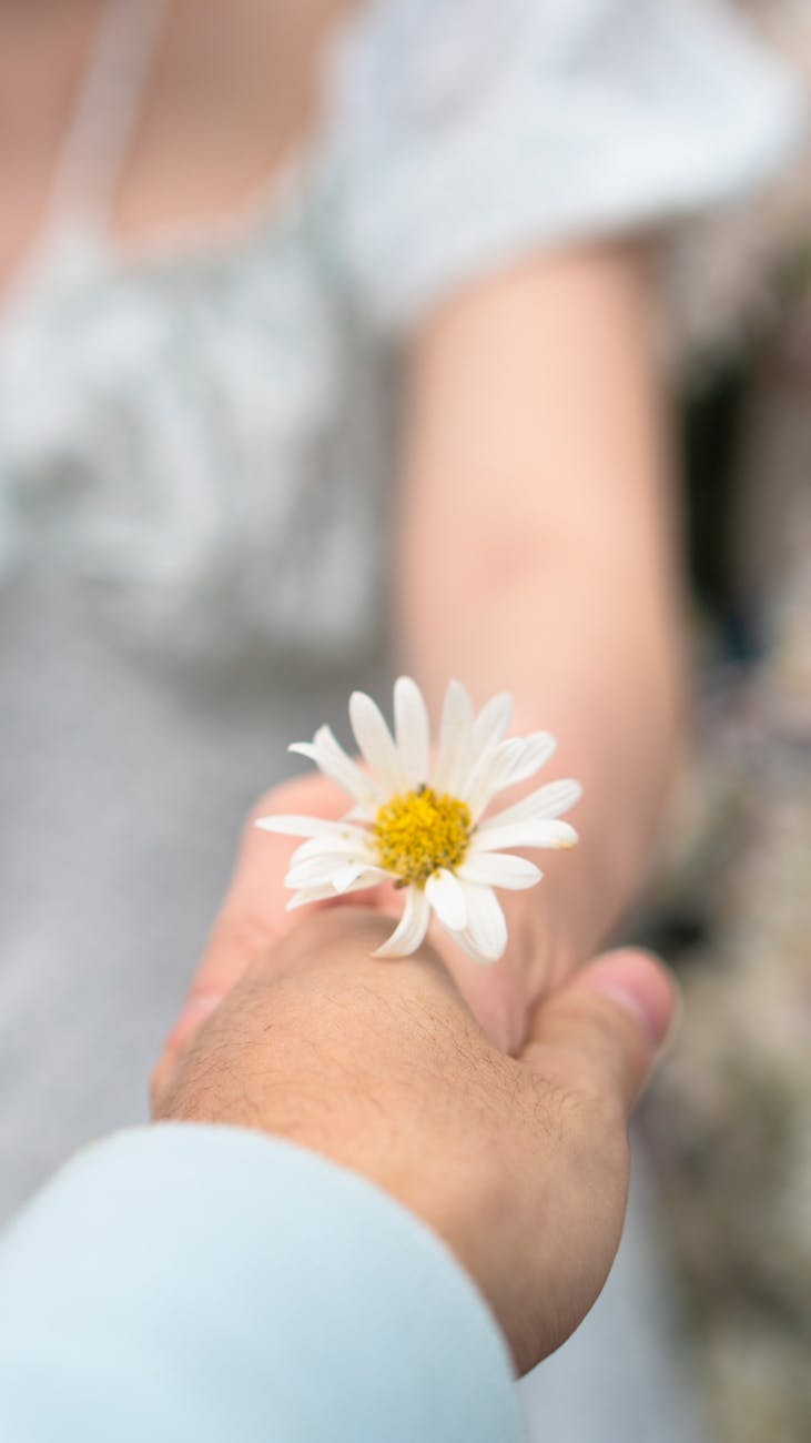 Как научить ребёнка&nbsp;честности