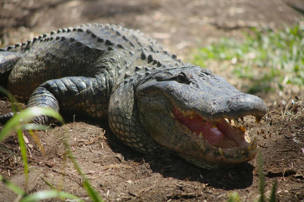 Что делать с опасным ребёнком?