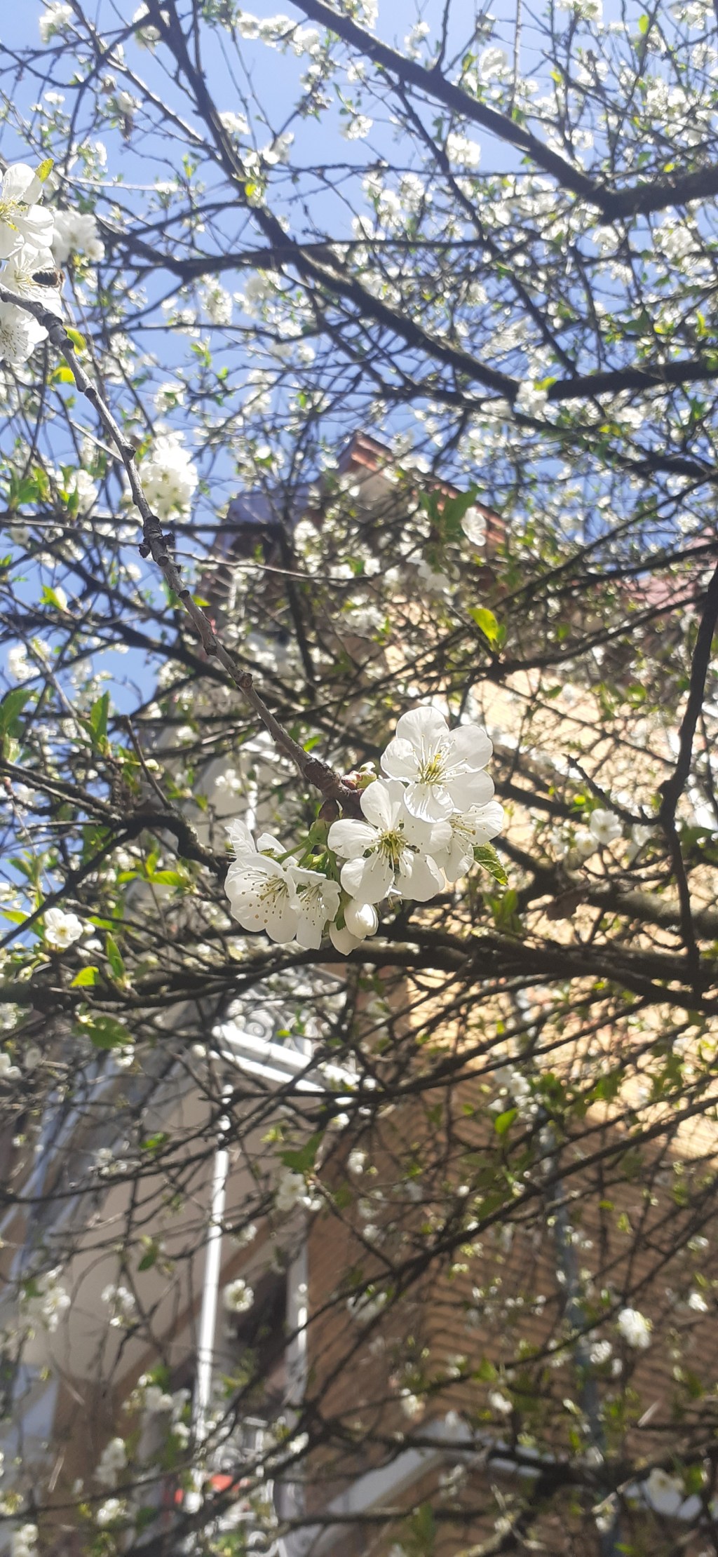 Просто Начни