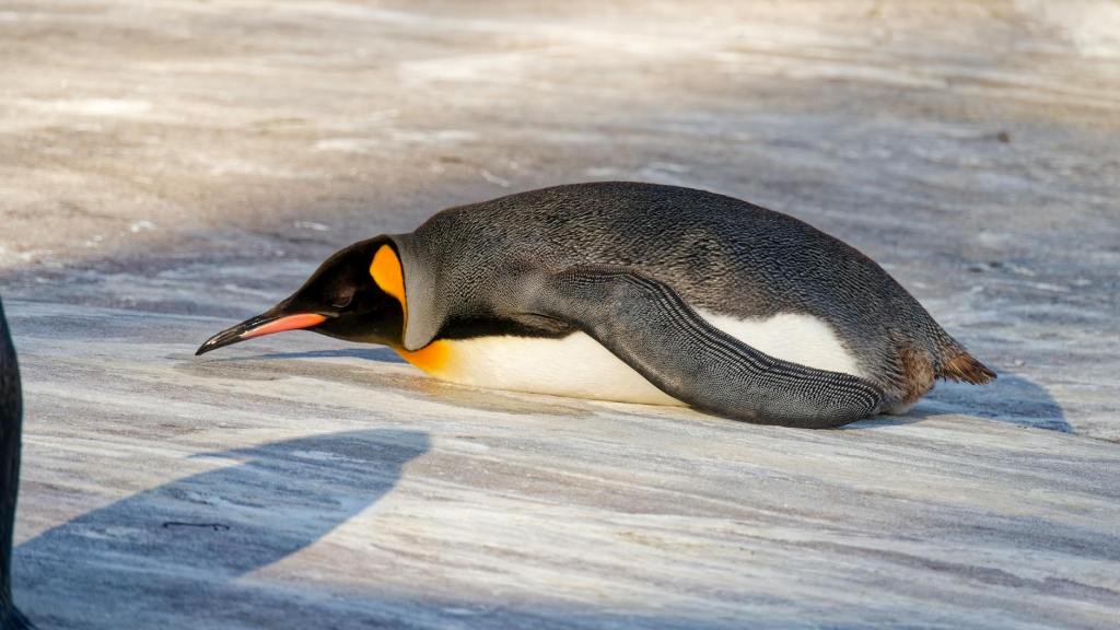 Холодная война в семье? Выход&nbsp;есть!