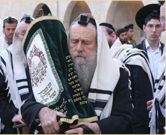 Рав Моше Шапиро,10 Тевета, 2017